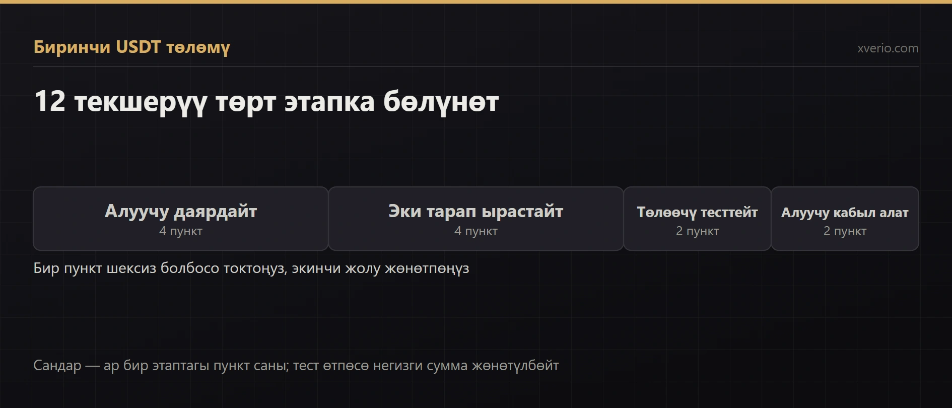 USDT төлөмүн биринчи жолу кантип кабыл алуу керек? 12 текшерүү